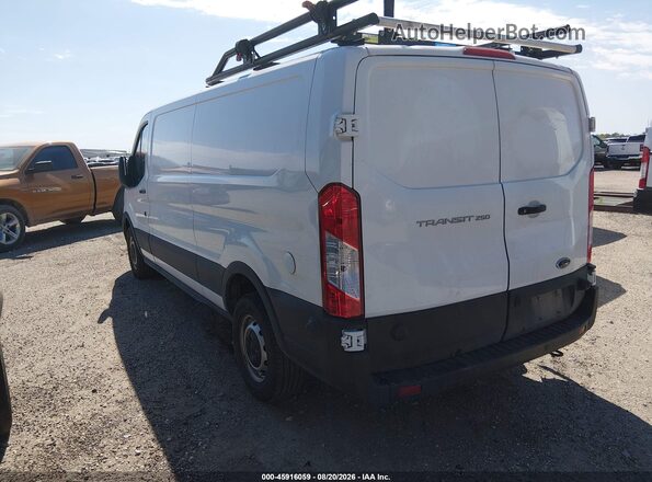 1FTBR1Y80RKA68153 2024 FORD TRANSIT-250 White Tył lewy