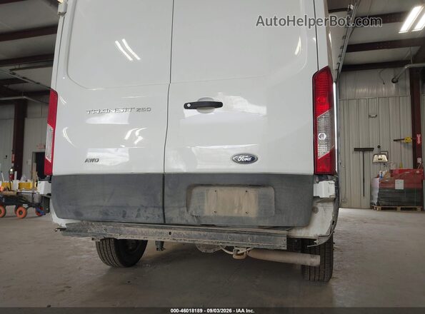1FTBR2X83PKB01988 2023 FORD TRANSIT-250 Белый Вид спереди