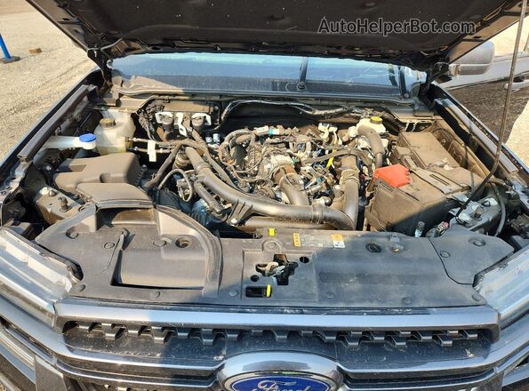 1FTER4HP4RLE60021 2024 FORD RANGER Черный Вид задней части салона