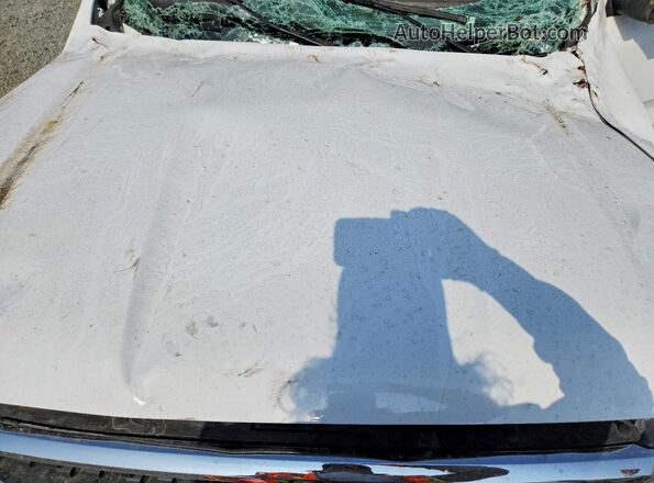 1FTER4KH8RLE07386 2024 FORD RANGER White Սալոնի հետևի տեսք
