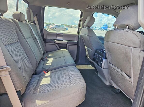 1FTEW1C4XLFA77274 2020 FORD F150 Brown უკანა სავარძლების ხედი