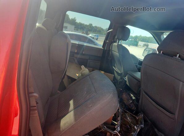1FTEW1C53KFA66205 2019 FORD F150 Red უკანა სავარძლების ხედი