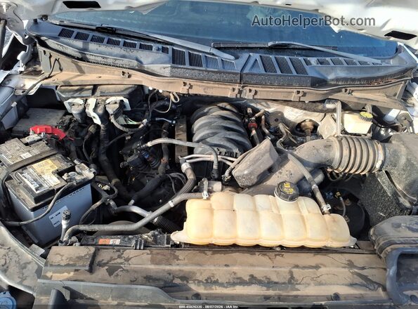 1FTEW1C56MFC69348 2021 FORD F150 White Widok z tyłu