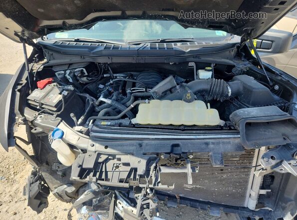 1FTEW1C56PKD24098 2023 FORD F150 Gray Widok wnętrza z tyłu