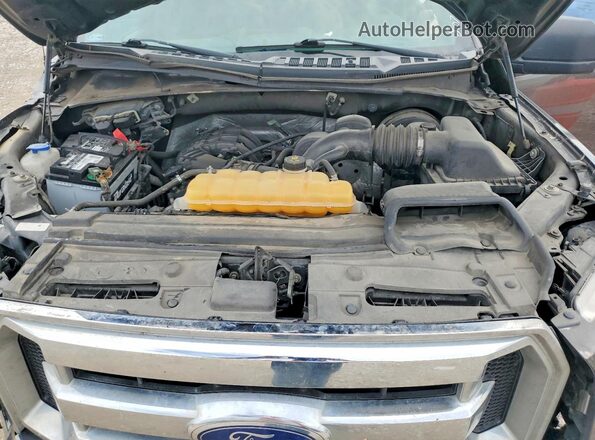 1FTEW1C84HKD44975 2017 FORD F150 Gray უკანა სალონის ხედი