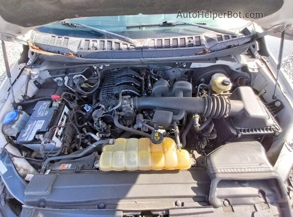 1FTEW1CB3KFA73130 2019 FORD F150 Белый Вид задней части салона