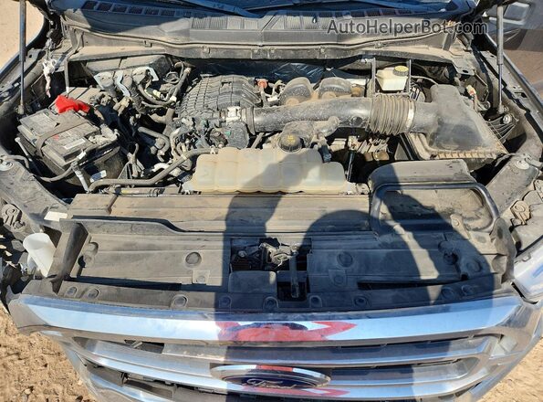1FTEW1CB9MKE66575 2021 FORD F150 Gray უკანა სალონის ხედი