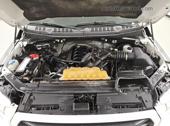1FTEW1CF2HKC23702 2017 FORD F150 White 