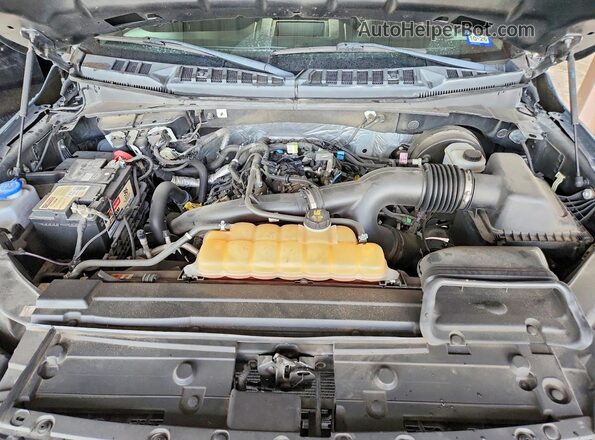 1FTEW1CP1KKC32195 2019 FORD F150 Gray Սալոնի հետևի տեսք