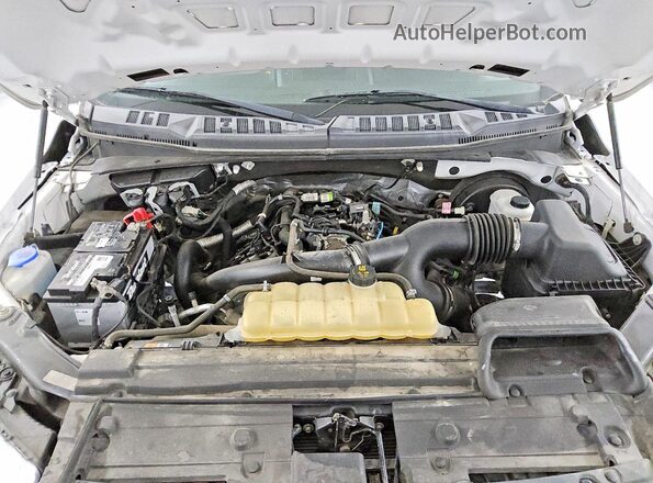1FTEW1CP5LKD39879 2020 FORD F150 Белый Вид задней части салона