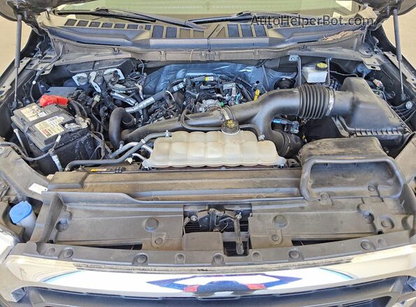 1FTEW1CP7MKF05210 2021 FORD F150 Blue Vista interior trasera