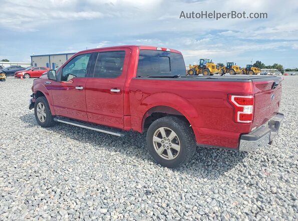 1FTEW1CP9KFB59277 2019 FORD F150 Red უკანა მარცხენა