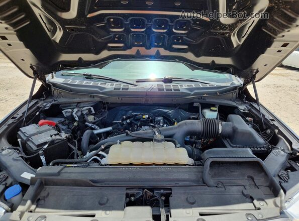 1FTEW1CPXMKE73482 2021 FORD F150 Gray Vista interior trasera