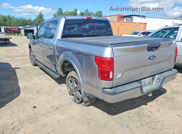 1FTEW1E47LFB93738 2020 FORD F150 Gray Задня ліва чверть