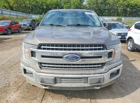 1FTEW1E50KFC83286 2019 FORD F150 Gray Widok z przodu