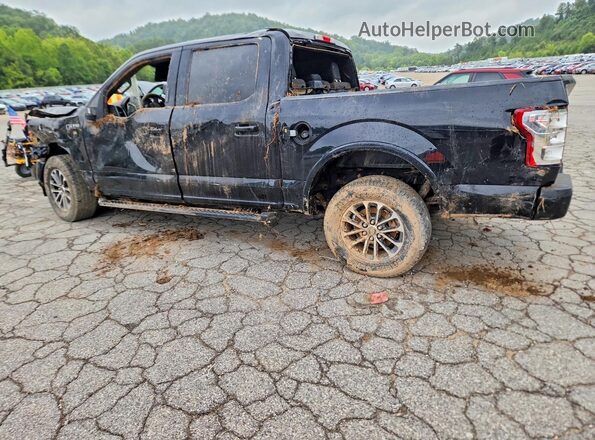 1FTEW1E55LKF35168 2020 FORD F150 Black Trasero izquierdo