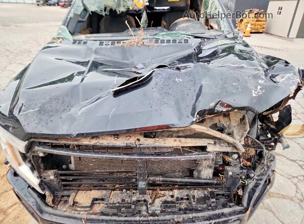 1FTEW1E55LKF35168 2020 FORD F150 Black Vista interior trasera