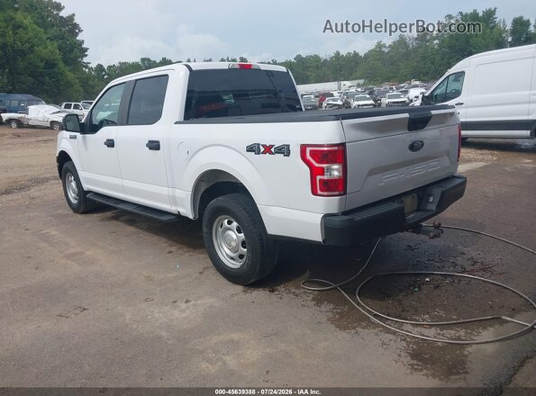1FTEW1E57LKF05735 2020 FORD F150 Белый Задняя левая четверть