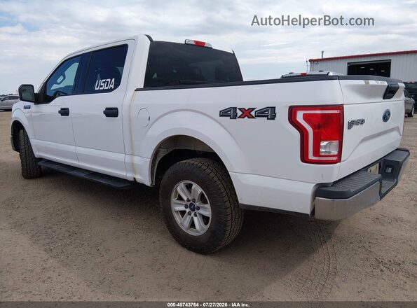 1FTEW1E87HKE26499 2017 FORD F150 White Trasero izquierdo