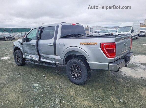 1FTEW1E89PFC15909 2023 FORD F150 Silver უკანა მარცხენა