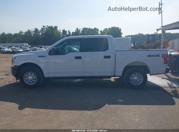 1FTEW1EB6LKF21186 2020 FORD F150 Белый 