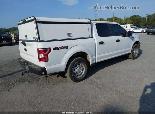 1FTEW1EB8LKE81726 2020 FORD F150 White Tył prawy