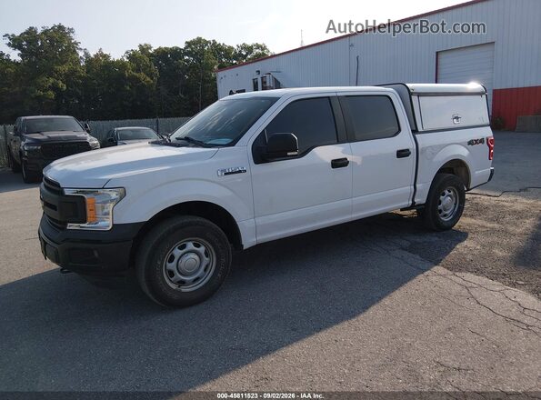 1FTEW1EB8LKE81726 2020 FORD F150 White Przód lewy