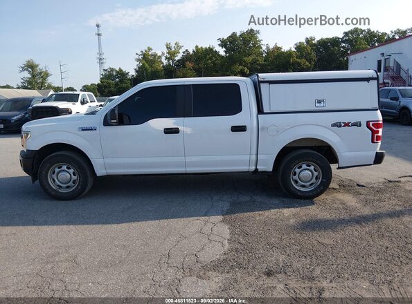 1FTEW1EB8LKE81726 2020 FORD F150 White 
