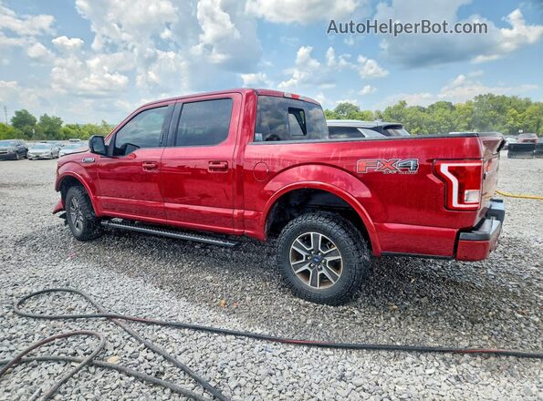 1FTEW1EF2HFA81972 2017 FORD F150 Red Trasero izquierdo