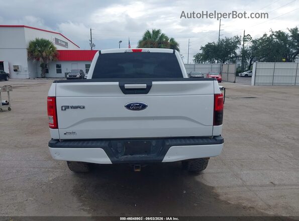 1FTEW1EF4HFB06483 2017 FORD F150 White 