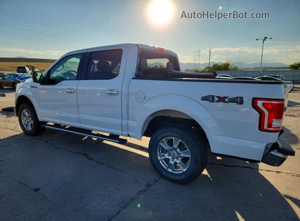 1FTEW1EF5HKC82739 2017 FORD F150 White Tył lewy