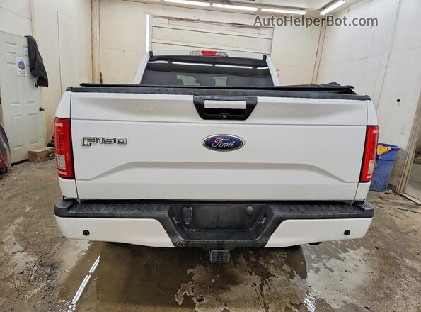 1FTEW1EF9HFC77620 2017 FORD F150 White Vista trasera
