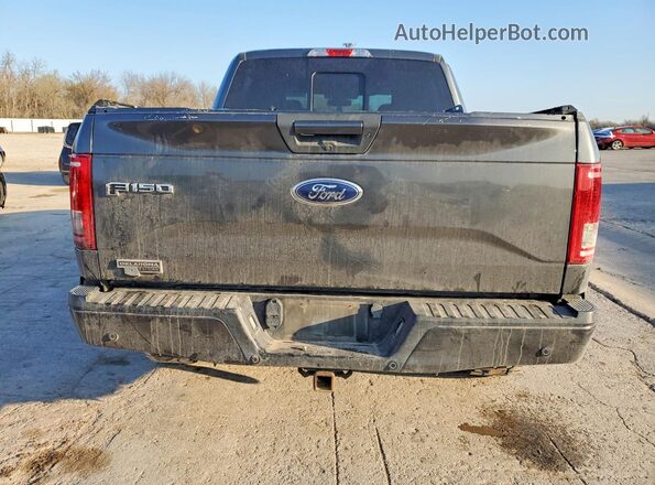 1FTEW1EG2HKE36008 2017 FORD F150 Gray Вид ззаду
