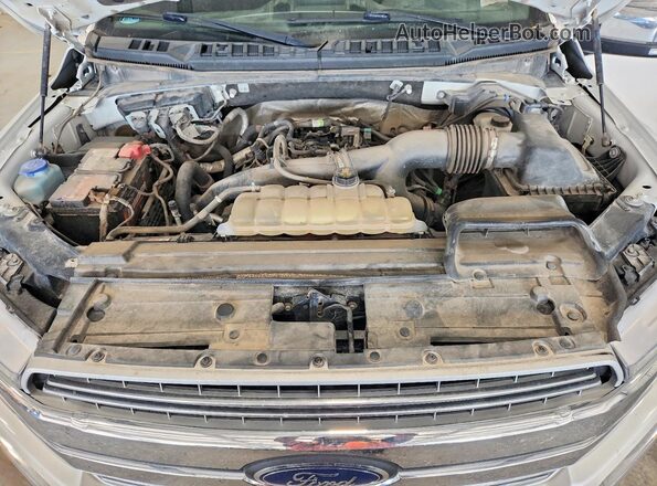 1FTEW1EP0KKC76900 2019 FORD F150 White Սալոնի հետևի տեսք