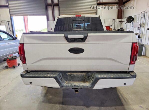 1FTEW1EP1HFB70974 2017 FORD F150 White Rear view