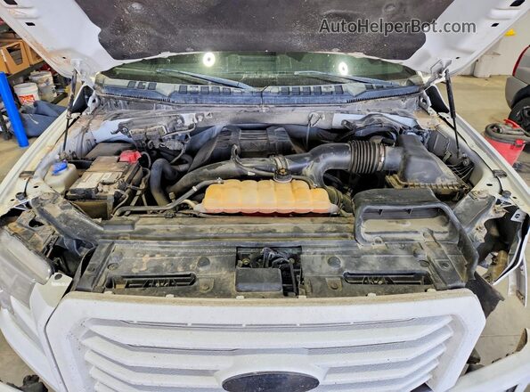 1FTEW1EP1HFB70974 2017 FORD F150 White Rear interior view