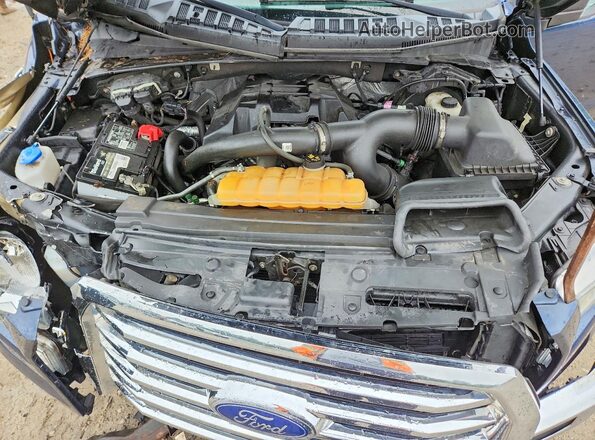 1FTEW1EP2HFA06343 2017 FORD F150 Blue Սալոնի հետևի տեսք