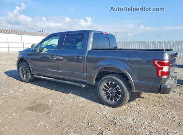 1FTEW1EP3LKD86681 2020 FORD F150 Gray Задня ліва чверть