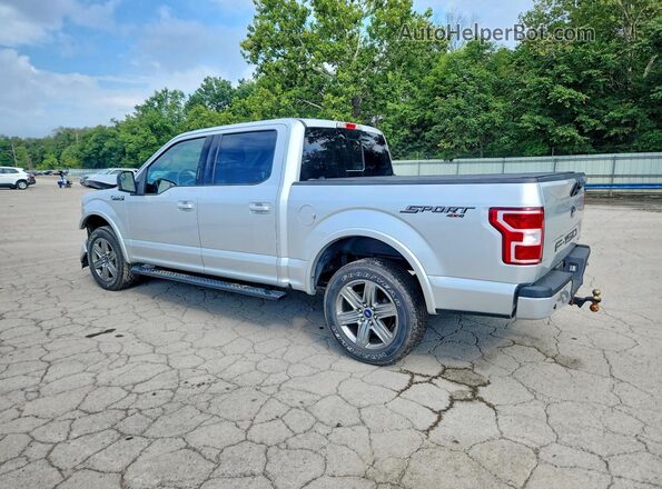 1FTEW1EP4KFC30415 2019 FORD F150 Silver Tył lewy