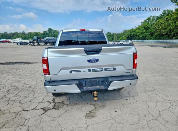 1FTEW1EP4KFC30415 2019 FORD F150 Silver Widok z tyłu
