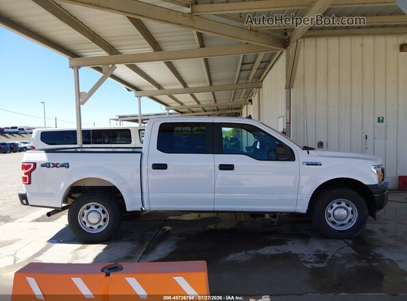 1FTEW1EP4LKE82044 2020 FORD F150 White Սալոնի հետևի տեսք