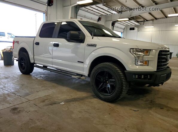 1FTEW1EP6HKD54279 2017 FORD F150 White Przód prawy
