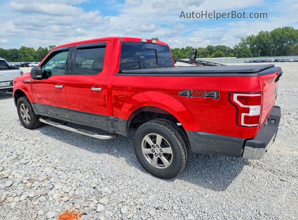 1FTEW1EP6LFC70495 2020 FORD F150 Red Trasero izquierdo