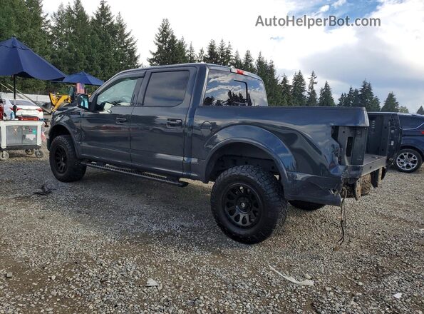 1FTEW1EPXGFD00118 2016 FORD F150 Gray უკანა მარცხენა