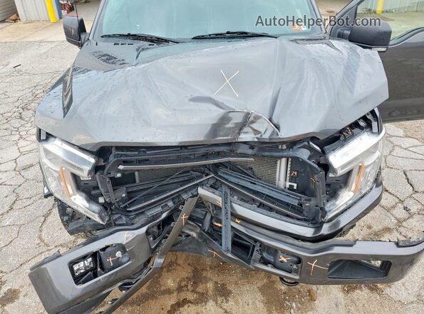 1FTEW1EPXLFC54963 2020 FORD F150 Gray Vista interior trasera