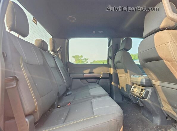 1FTEW2KP2RKE75032 2024 FORD F150 Серебряный Вид задних сидений