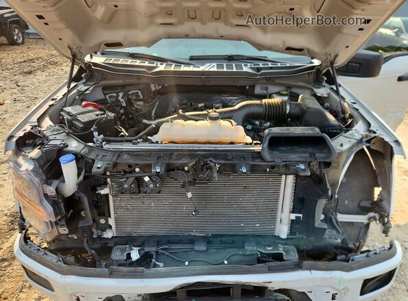 1FTEW2KP2RKE75032 2024 FORD F150 Серебряный Вид задней части салона