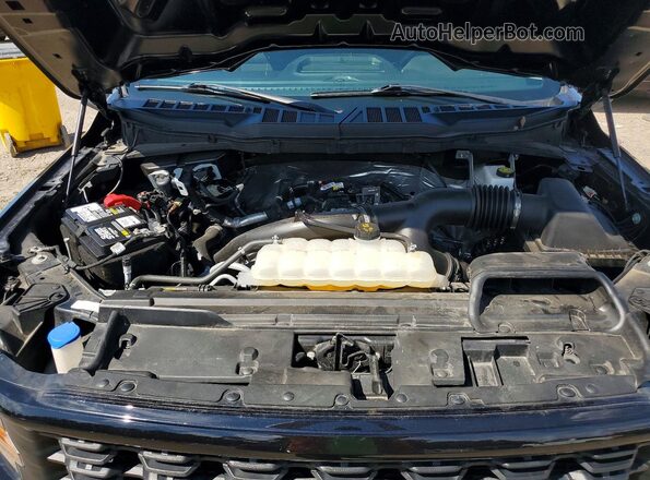 1FTEW2KP3SKD09589 2025 FORD F150 Black Widok wnętrza z tyłu