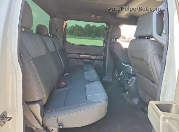 1FTEW2KP7RFA29693 2024 FORD F150 White Widok tylnych siedzeń