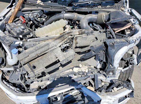 1FTEW2KP7RKE41068 2024 FORD F150 White Սալոնի հետևի տեսք